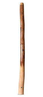 Wix Stix Didgeridoo (WS449)